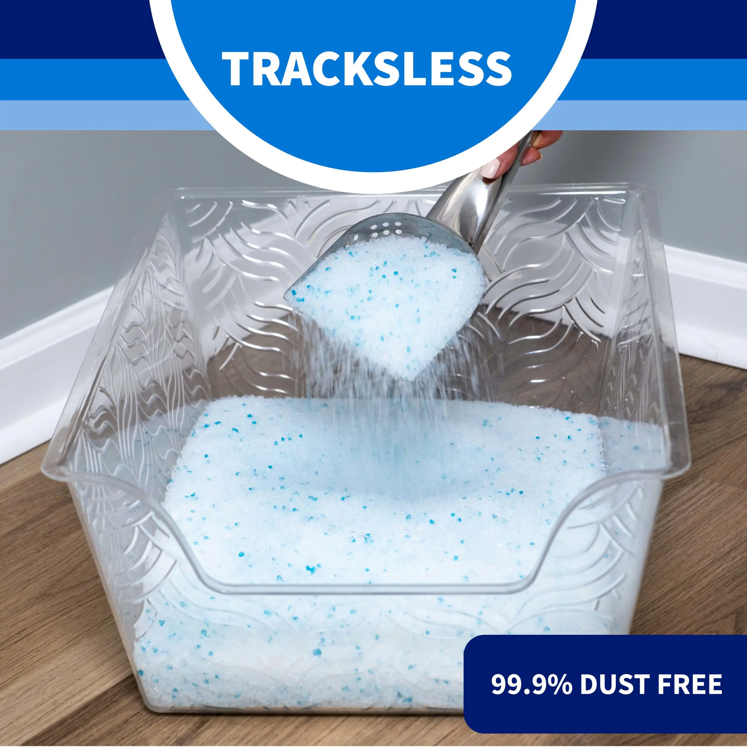 Litter Pearls Tracksless