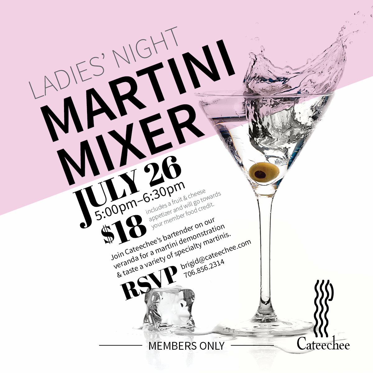 Martini Mixer flyer