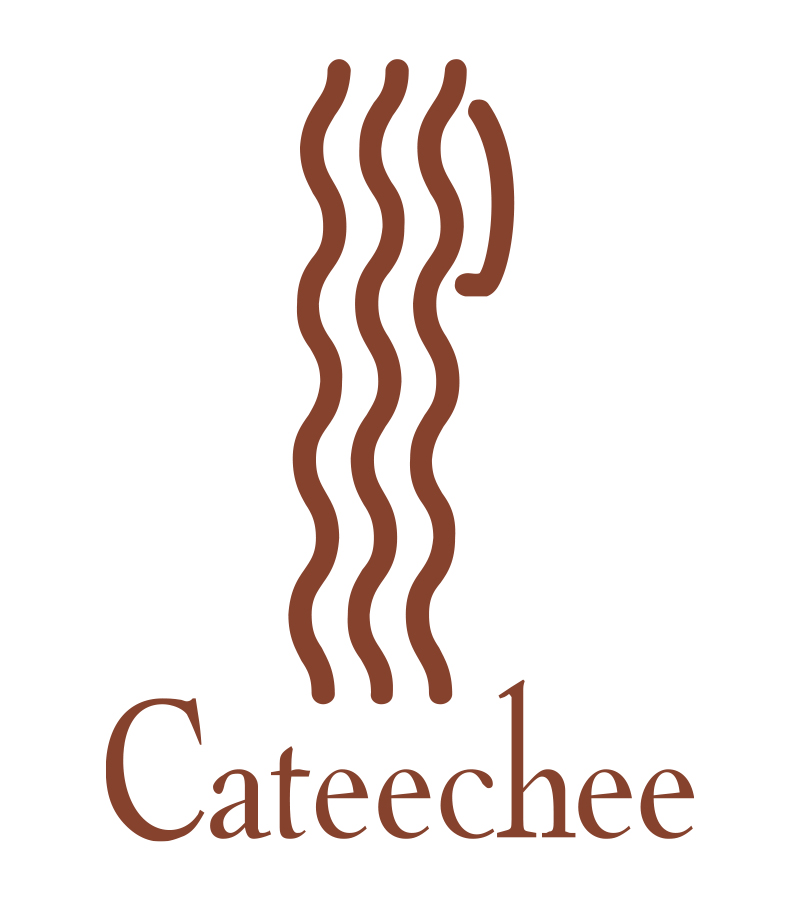 Cateechee logo simplified colors
