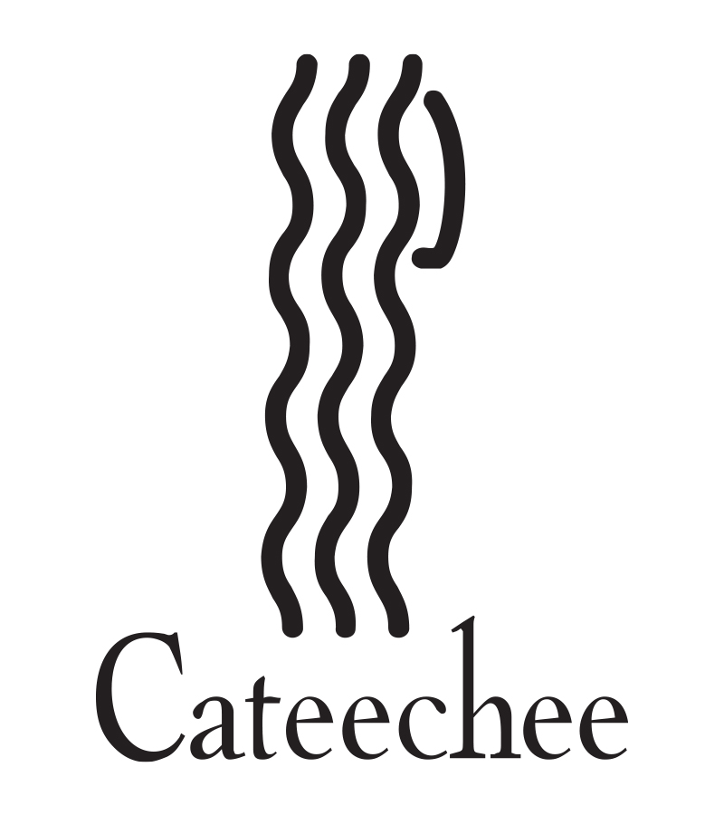 Cateechee logo color change