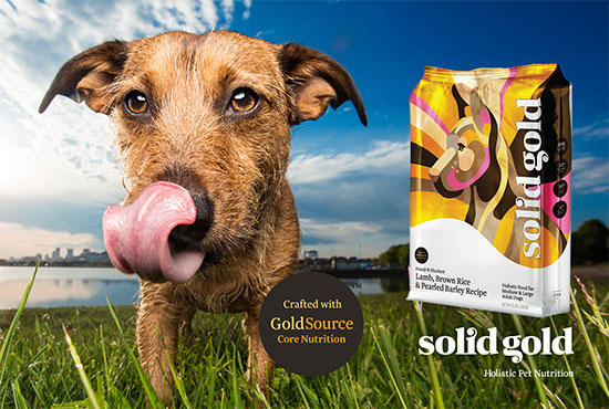 Solid Gold — image 2