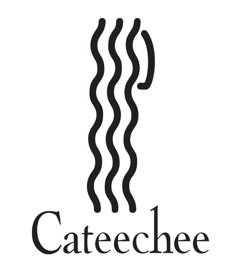 Cateechee logo refinement phase 2