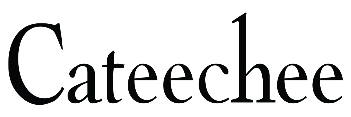 Cateechee logo refinement phase 3 - simplification